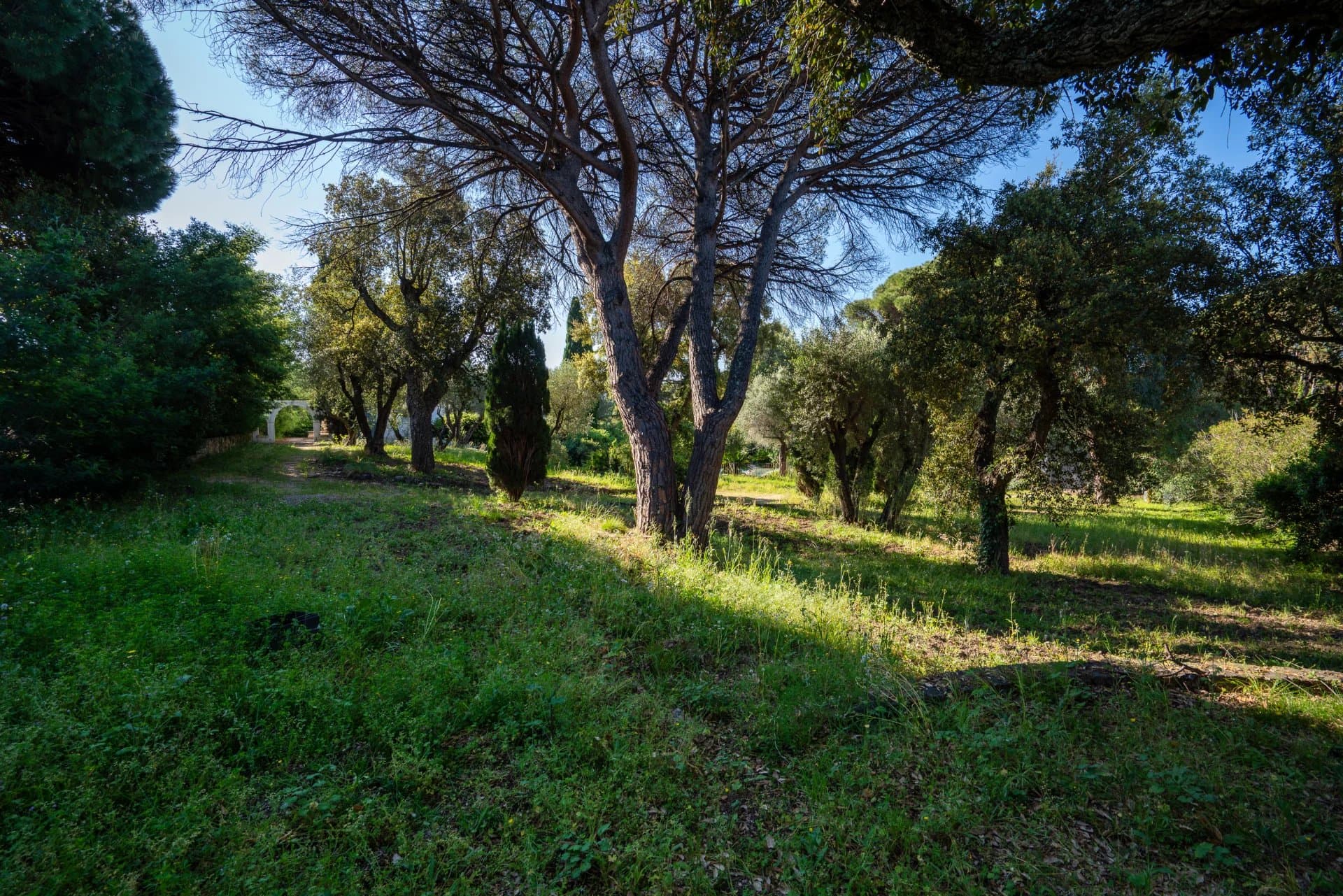 Grimaud – Élégante propriété avec terrain constructible à proximité de la mer — photo 17